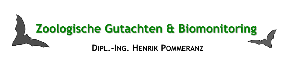 Büro Nachtschwärmer